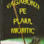 Vagabonzi pe plaiul mioritic